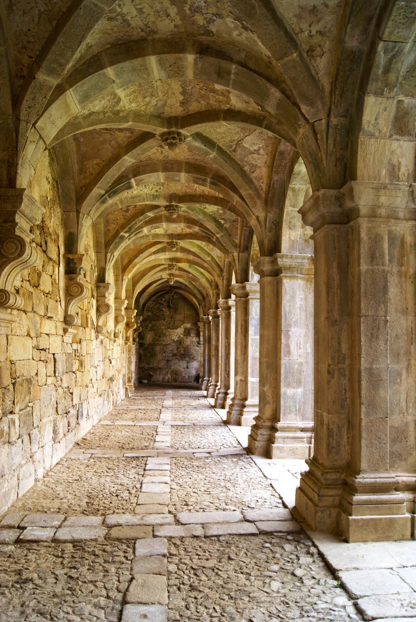 Vista dos Claustros, Mosteiro de Santa Maria de Salzedas, Tarouca, Portugal (pedra) de Portuguese School
