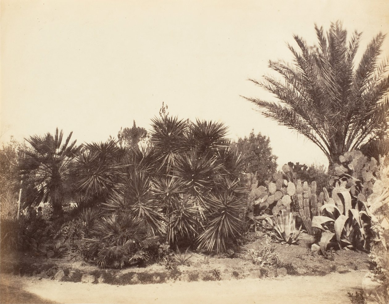 Jardim Pinciano, Roma, 1853-56. de Possibly by Jane Martha St. John.