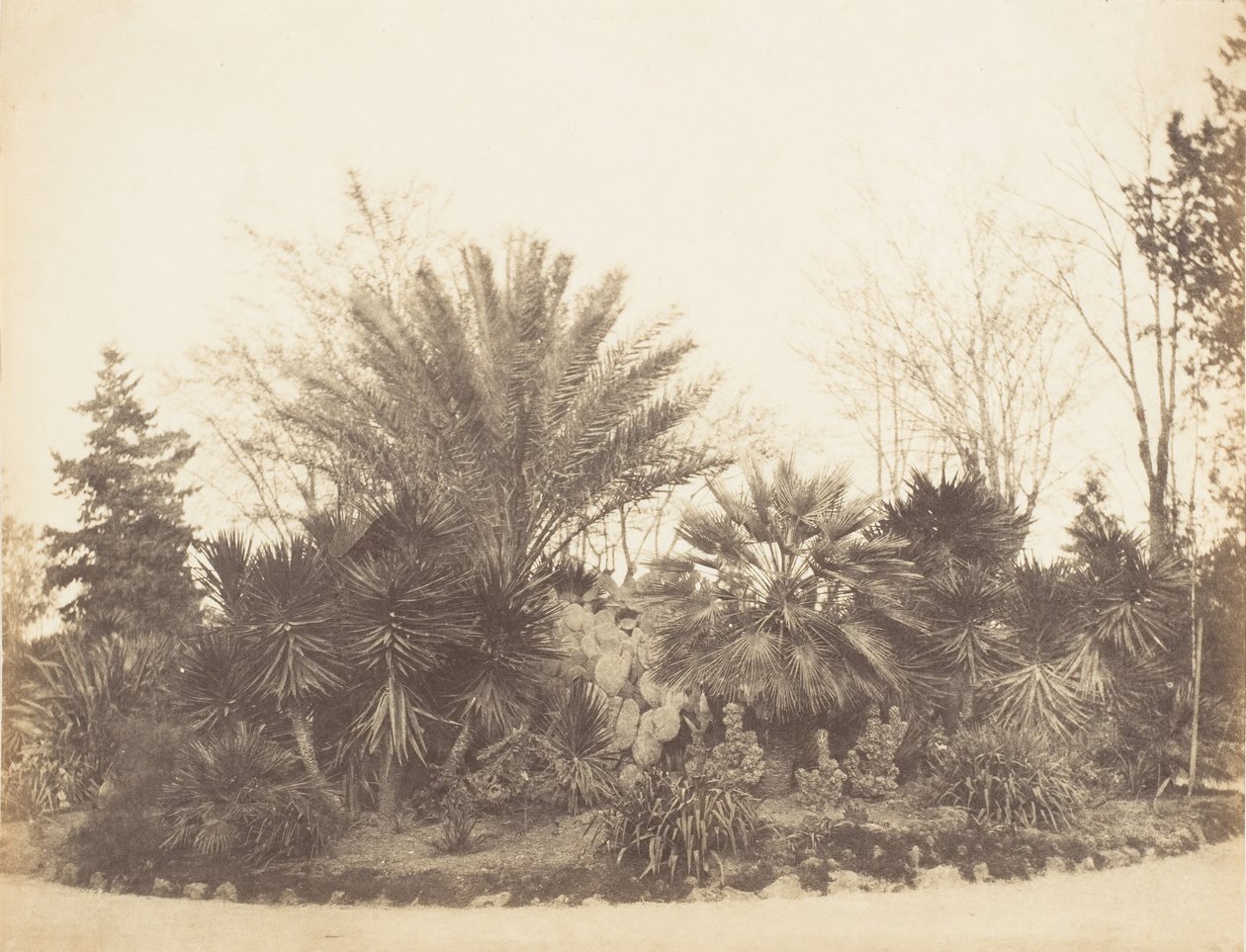 Jardim Pinciano, Roma, 1853-56. de Possibly by Jane Martha St. John.