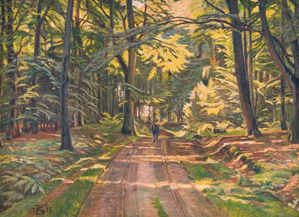 Estrada florestal perto de Dyrnæs de Poul S. Christiansen