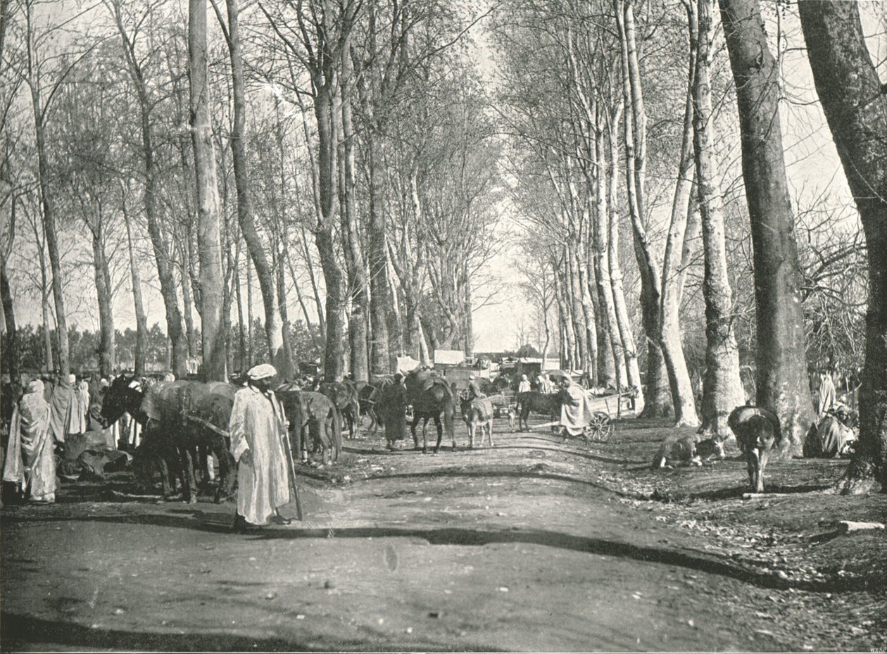 Feira e mercado árabes, Boufarik, Argélia, 1895. de Poulton and Co