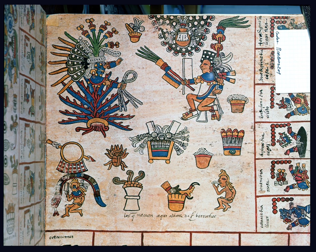 Códice asteca Borbonicus, &39;Tonalamatl&39;, detalhe representando a deusa Mayahuel sentada em uma planta de agave de Pre Columbian