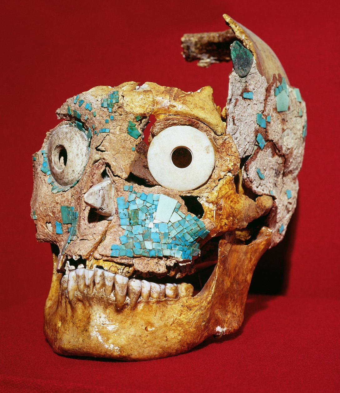 Crânio decorado com um mosaico em turquesa e marfim, Mixtec, do túmulo 7, Monte Alban, 1300-1450 de Pre Columbian