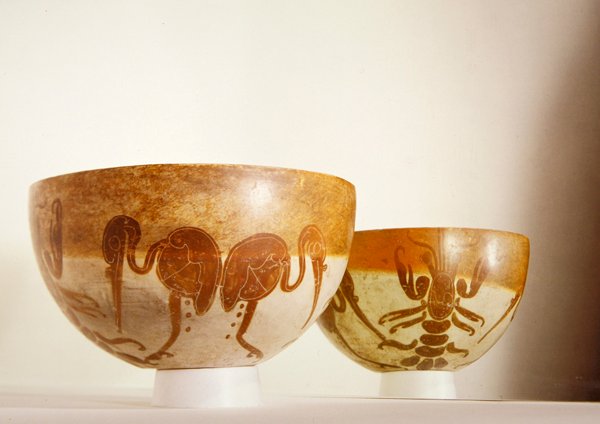 Taça com motivos aquáticos, Vera Cruz (cerâmica) de Pre Columbian Pre Columbian
