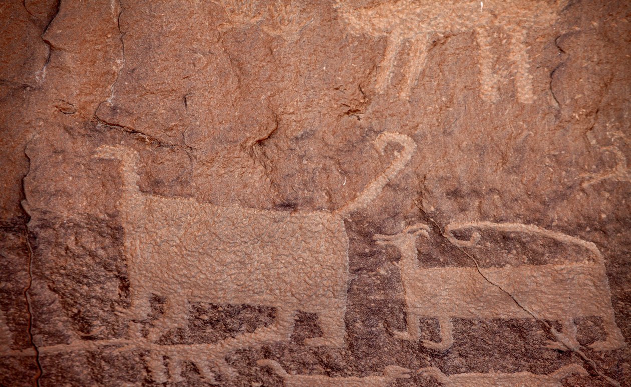 Petróglifos, Parque Histórico Nacional da Cultura do Chaco, 2014 (foto) de Precolombian Precolombian
