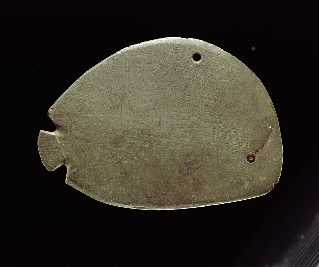 Paleta de peixes, c.3200 aC (xisto verde) de Predynastic Period Egyptian