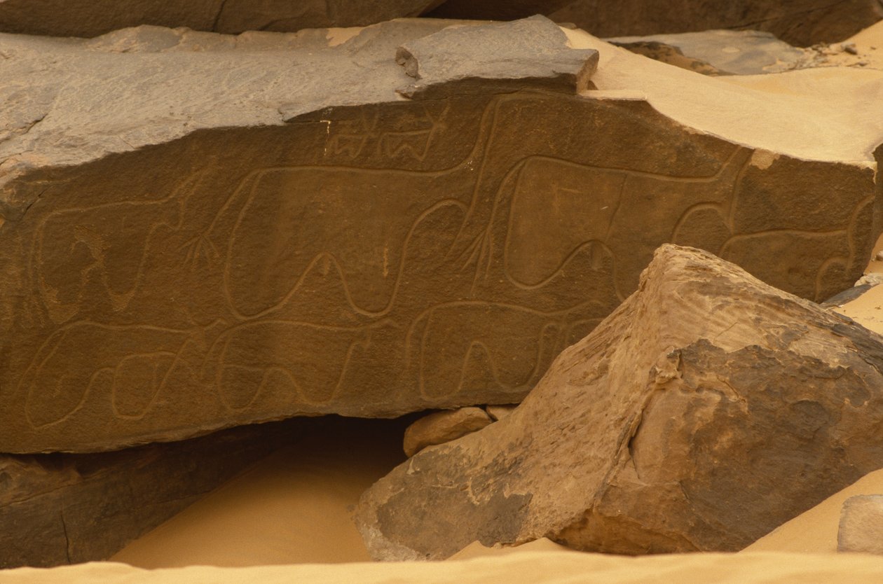 Animais (escultura em pedra) de Prehistoric