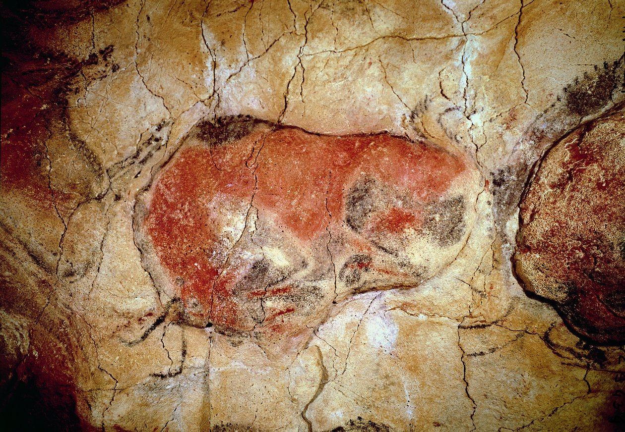Bisão das Cavernas de Altamira, Alto Paleolítico, c.15000-8000 aC (pintura rupestre) de Prehistoric