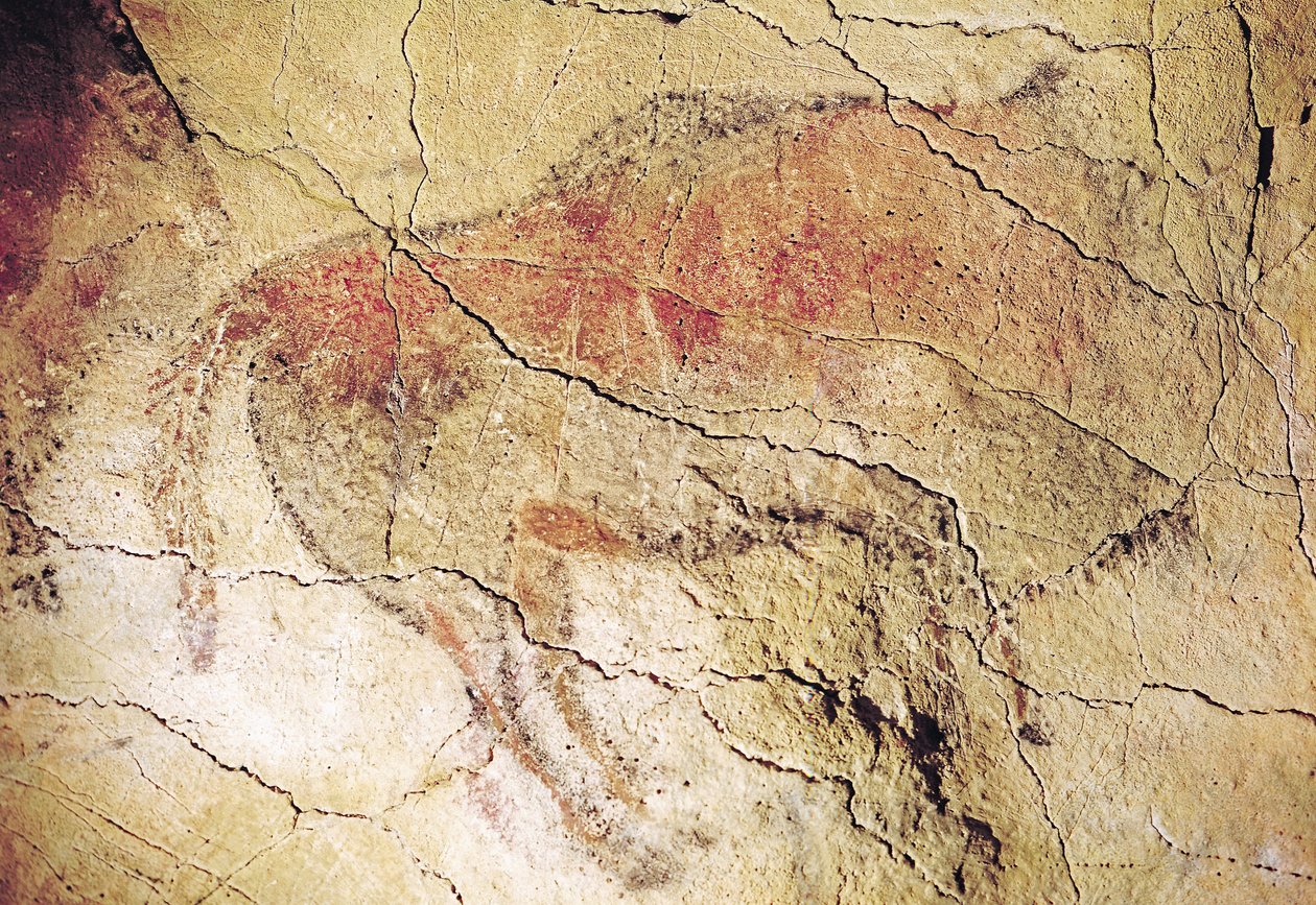 Bison from the Caves em Altamira, c.15000 aC (pintura rupestre) de Prehistoric
