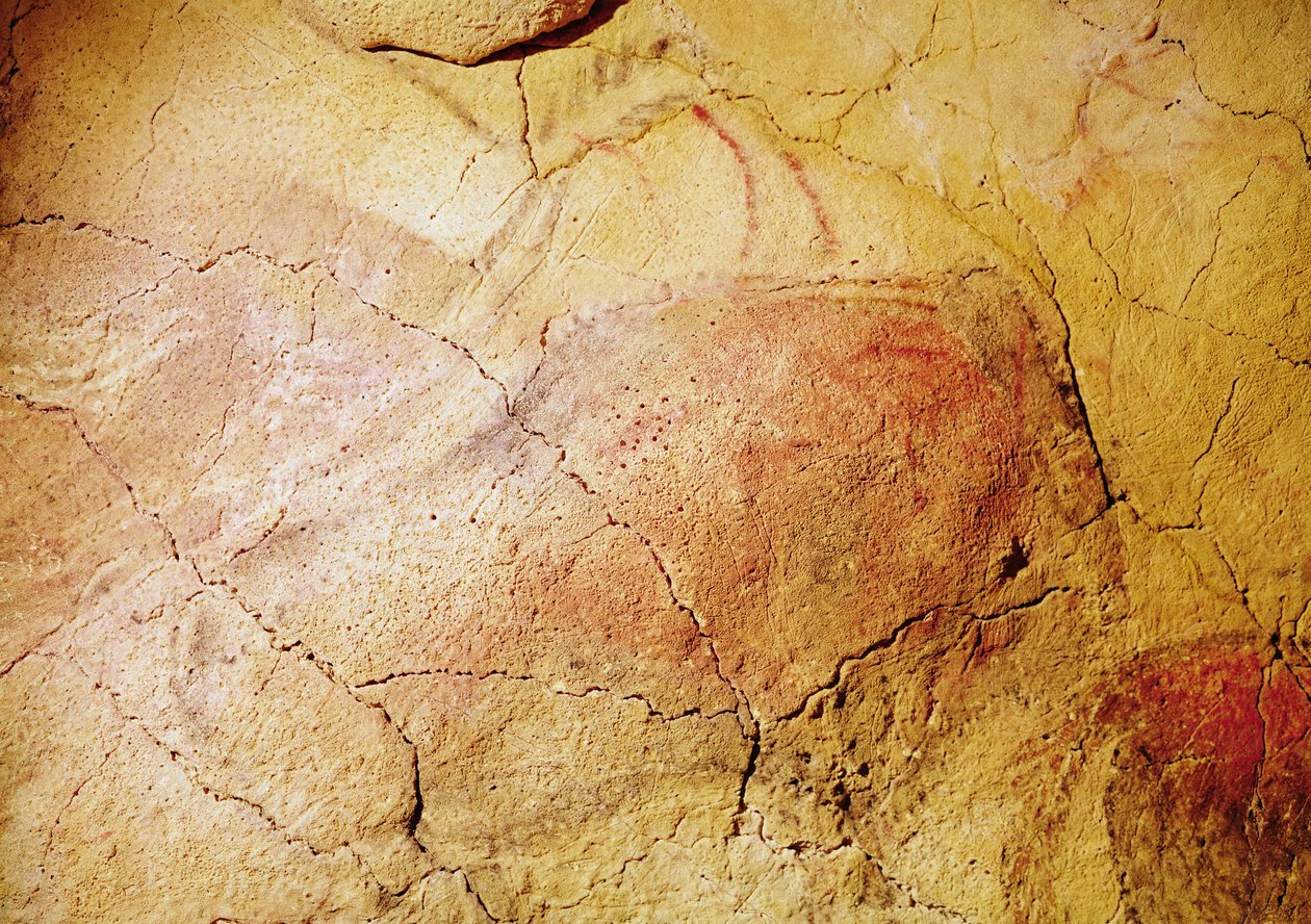 Bison, das cavernas de Altamira, c.15000 aC (pintura rupestre) de Prehistoric