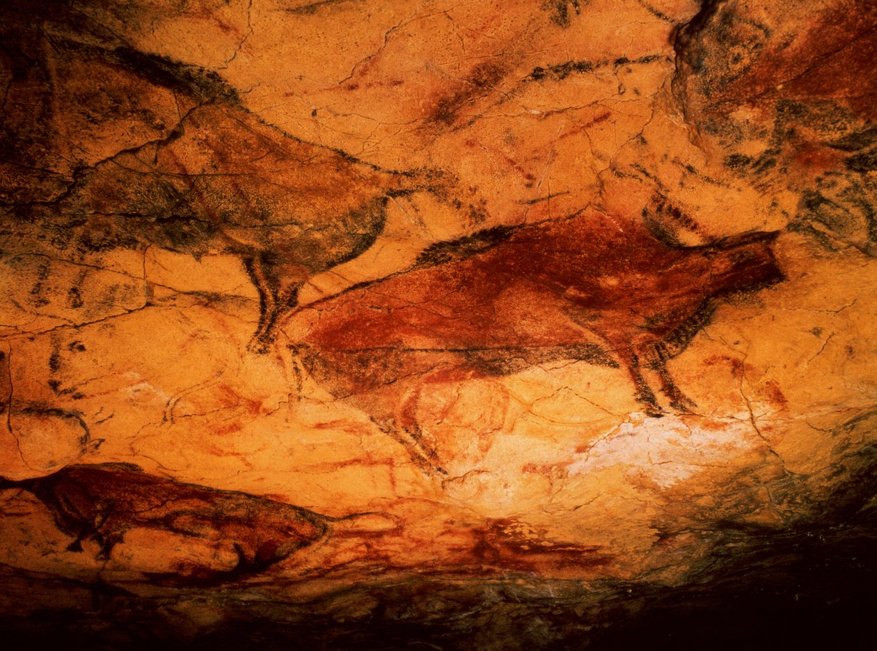 Bisonte das Grutas de Altimira, c.15000 aC (pintura rupestre) de Prehistoric