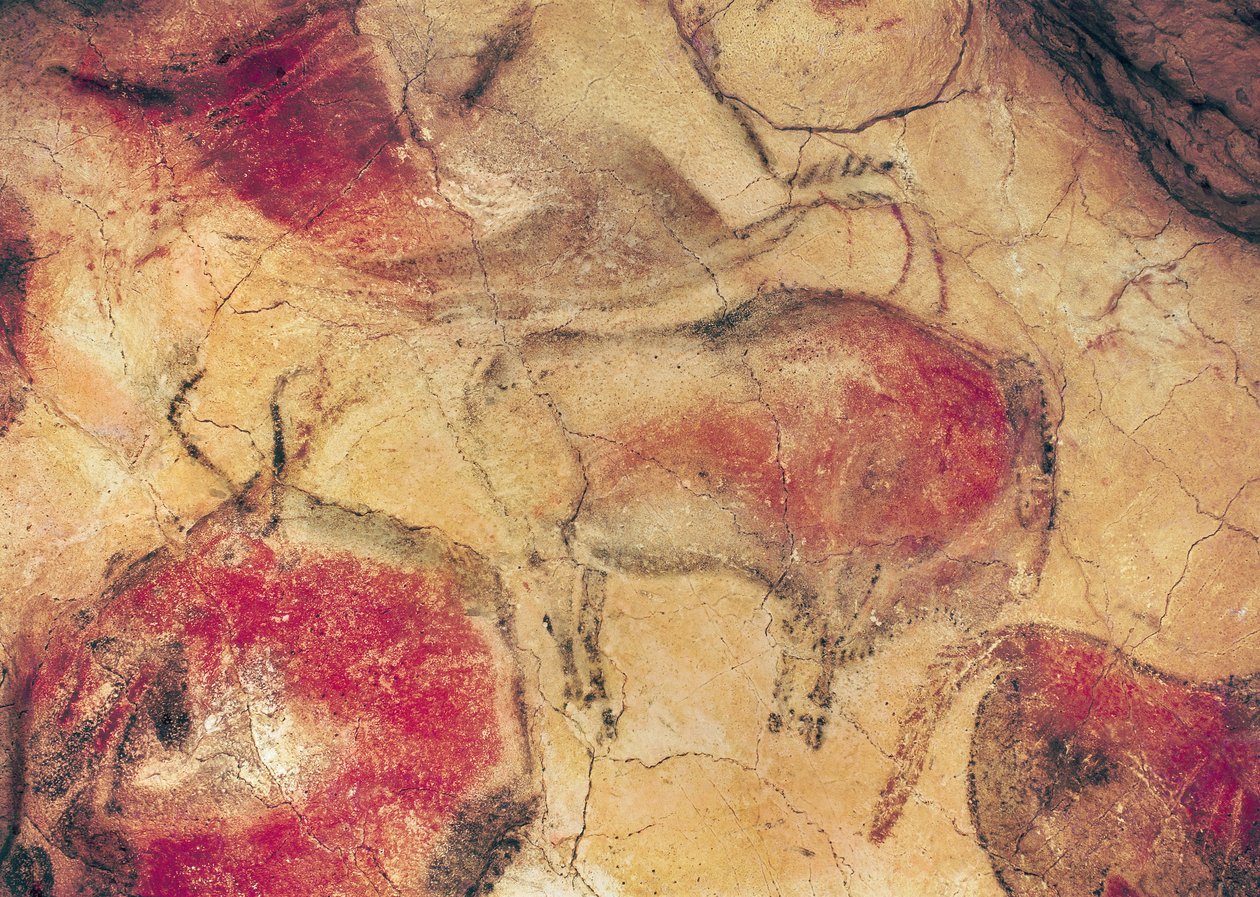 Bisontes, das cavernas de Altamira, c.15000 aC (pintura rupestre) de Prehistoric
