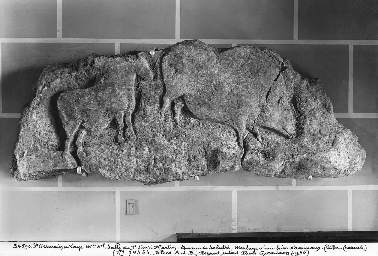 Elenco de um friso de animais de Le Roc de Sers, Charente, período de Solutrean, 20000-15000 aC (gesso) de Prehistoric