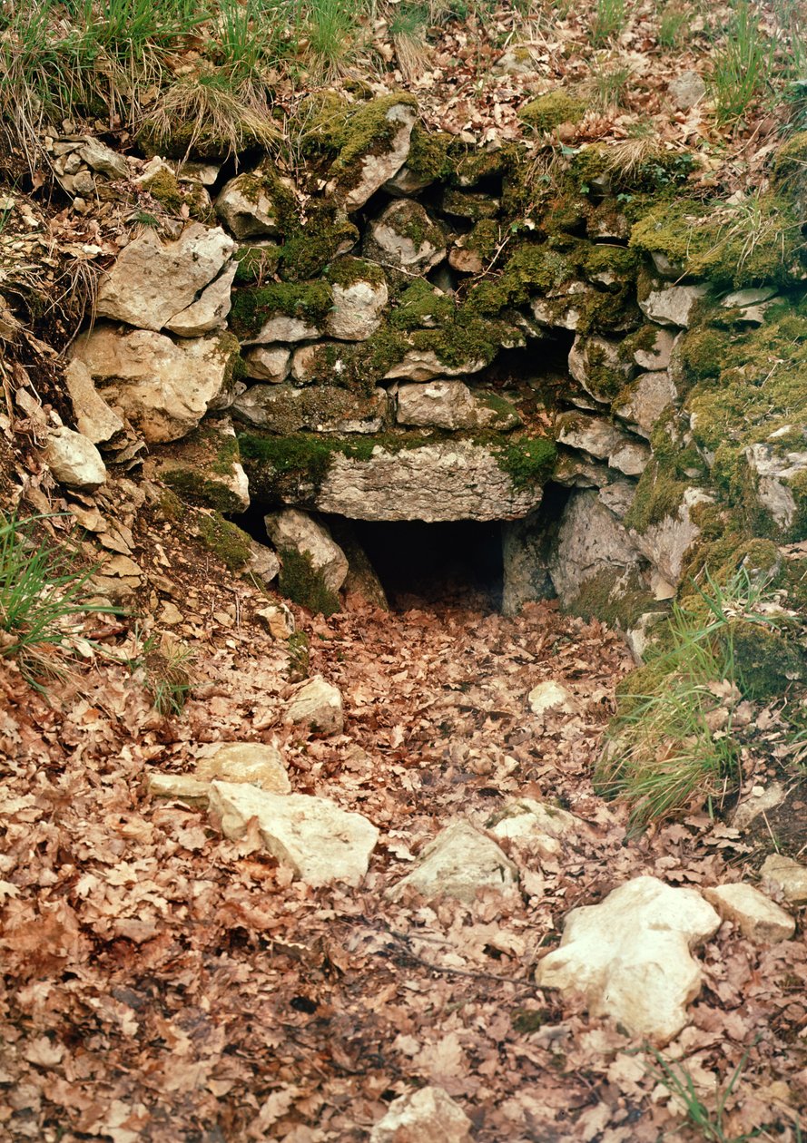 Entrada coberta para um tumulus de Prehistoric
