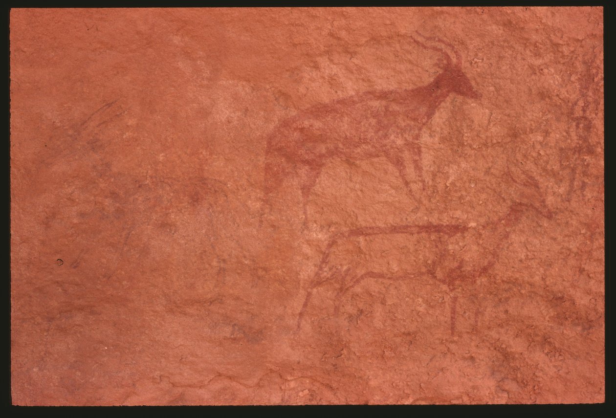 Vacas (pintura rupestre) de Prehistoric