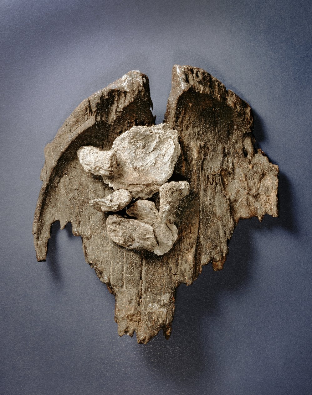 Fragmento de um prato pré-histórico com restos de uma articulação de carne, Tomb G73, Jericho, (madeira) de Prehistoric