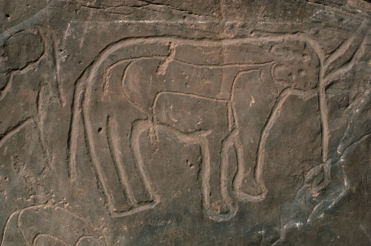 Mamute (escultura em pedra) de Prehistoric