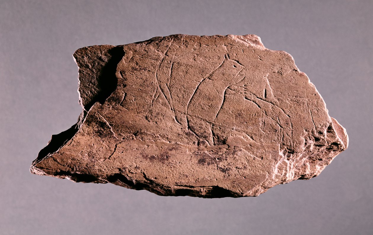 Seixo representando um homem sendo atacado por um urso, de Pechialet, Dordogne (xisto) de Prehistoric