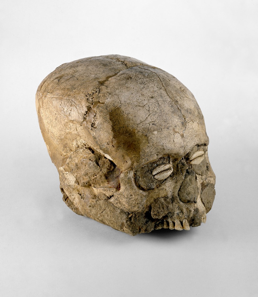 Crânio do retrato com olhos do shell do cowrie, Jericho, c.7th millennium BC (crânio, emplastro e escudo) de Prehistoric