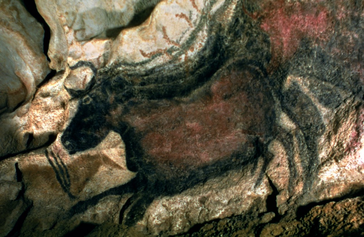 Pintura da rocha de um touro preto, c.17000 BC (pintura de caverna) de Prehistoric
