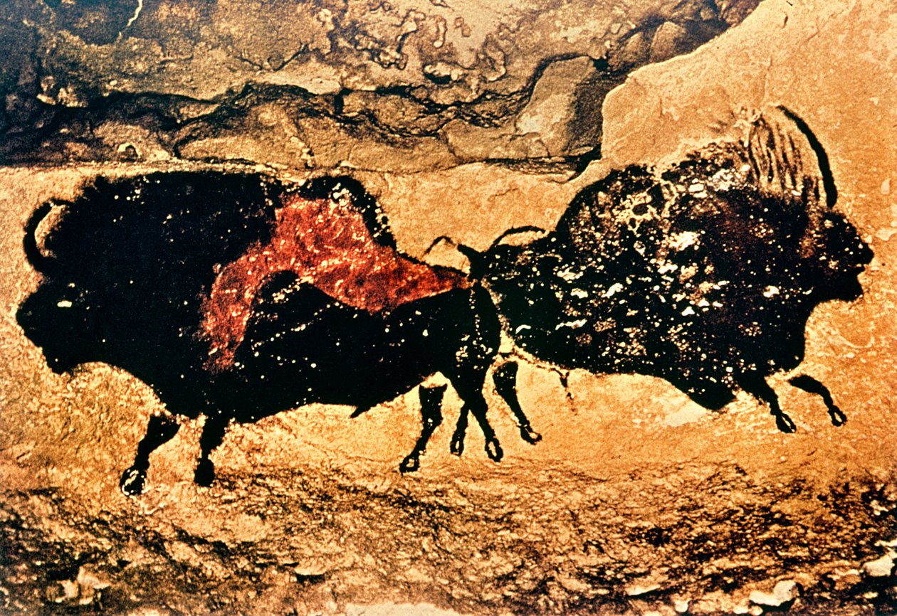 Pintura rupestre de bisontes, c.17000 aC (pintura rupestre) de Prehistoric