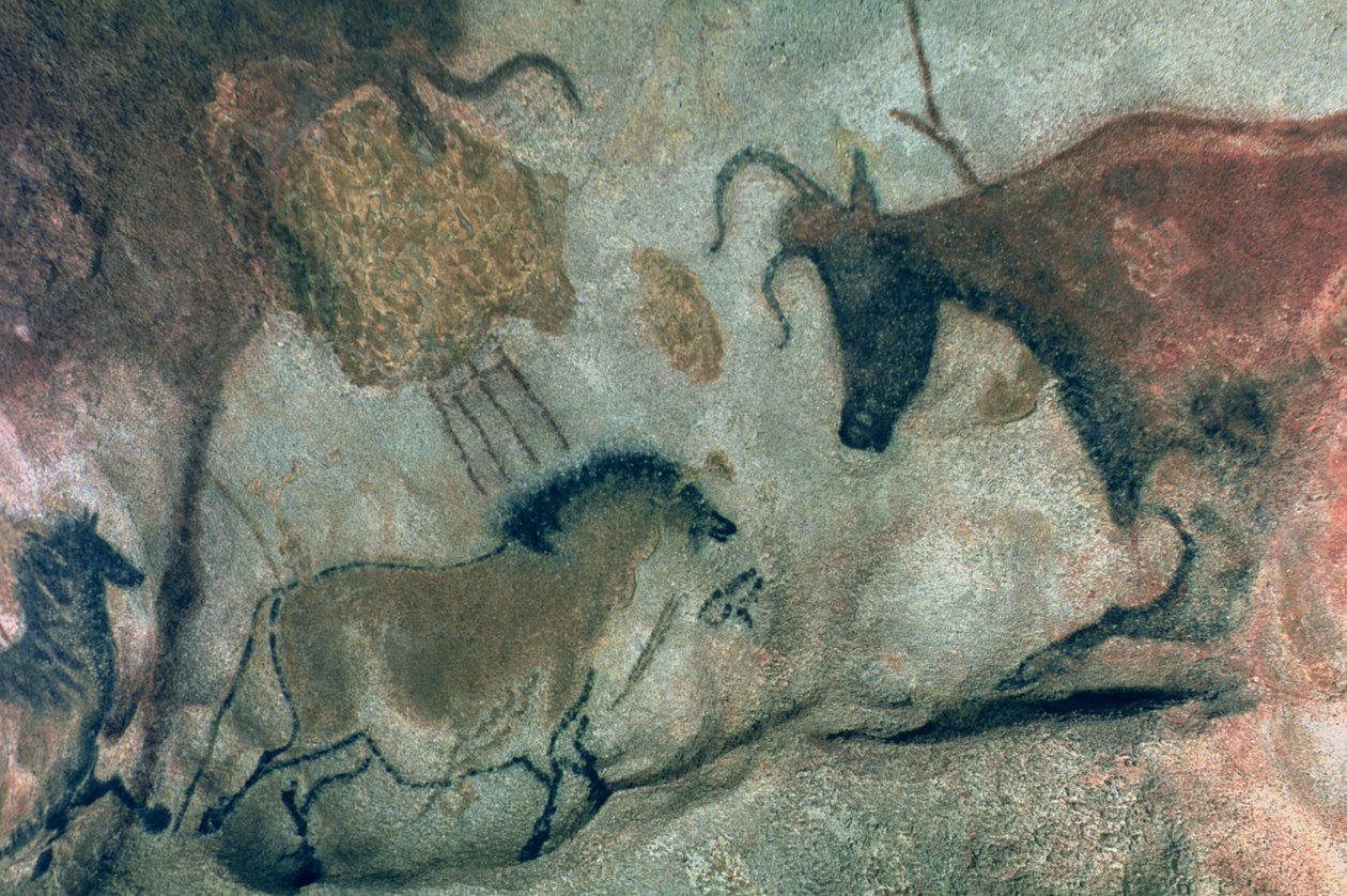 Pintura rupestre mostrando um cavalo e uma vaca, c.17000 aC (pintura rupestre) de Prehistoric