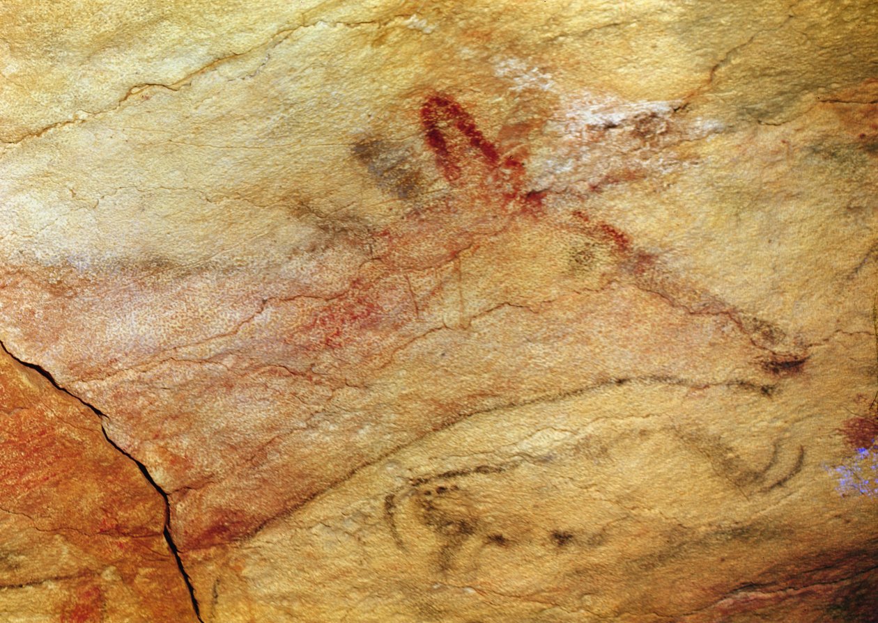 Stag from the Caves de Altamira, c.15, 000 aC (pintura rupestre) (detalhe de 42412) de Prehistoric