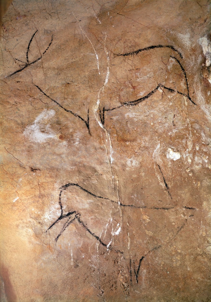 Dois veados, das cavernas de Altamira, c.15000 aC (pintura rupestre) de Prehistoric