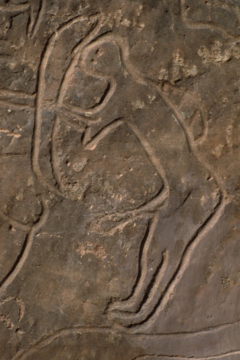 Figura humana e cabeça de touro (escultura em pedra) de Prehistoric