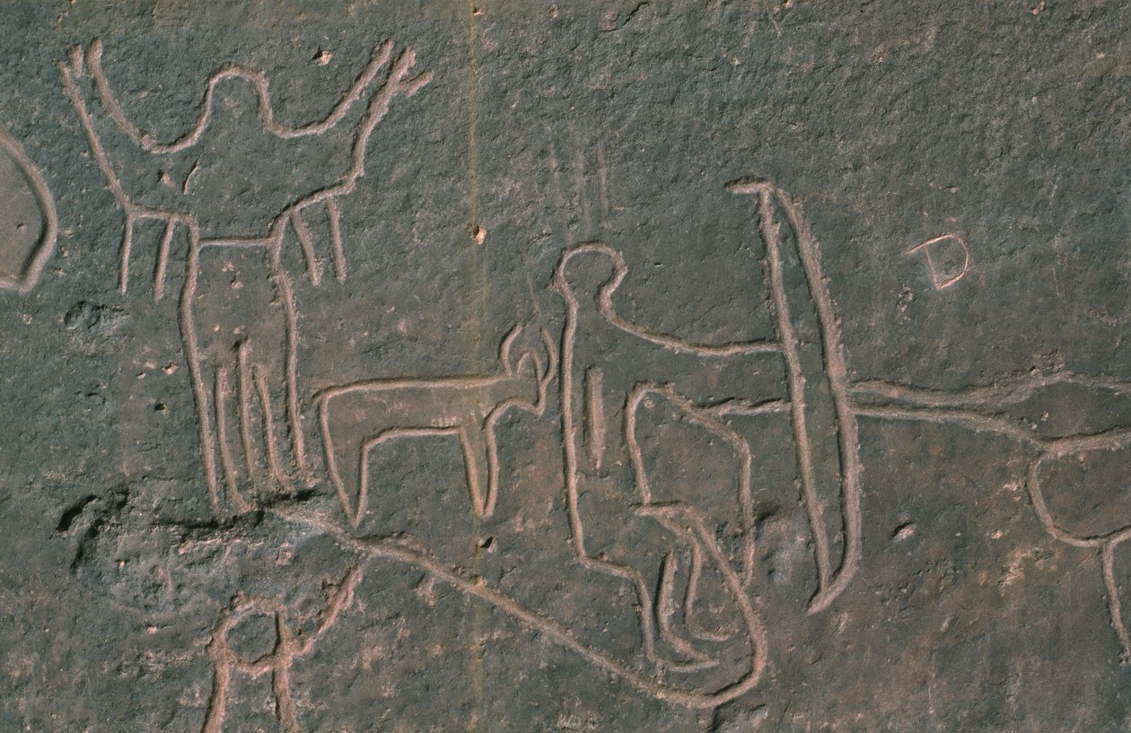 Figuras humanas e animais (pintura rupestre) de Prehistoric