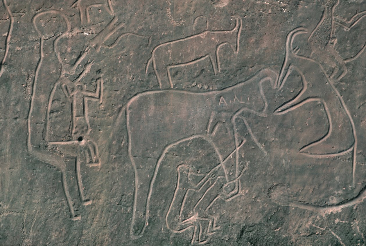 Figuras humanas e animais (pintura rupestre) de Prehistoric