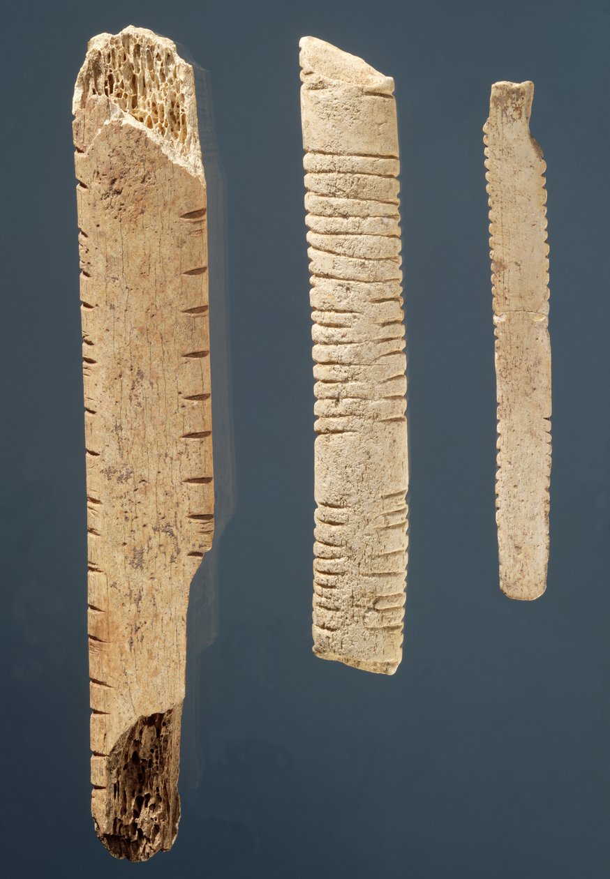 Três ossos decorados (osso) de Prehistoric