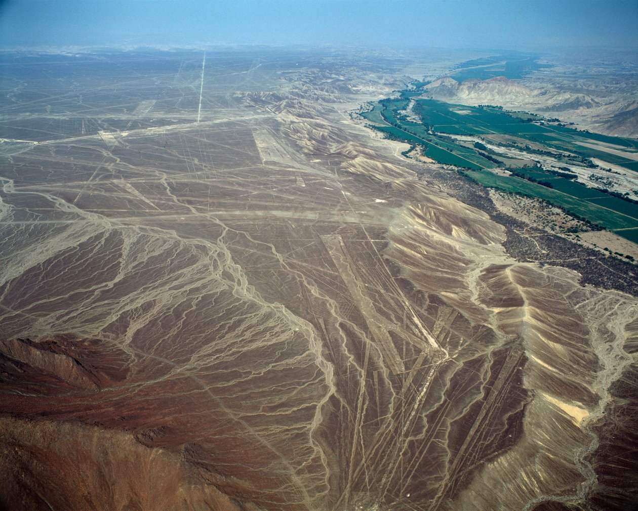 Vista aérea das Linhas de Nazca representando uma figura de pássaro (fotografia de Prehistoric Prehistoric