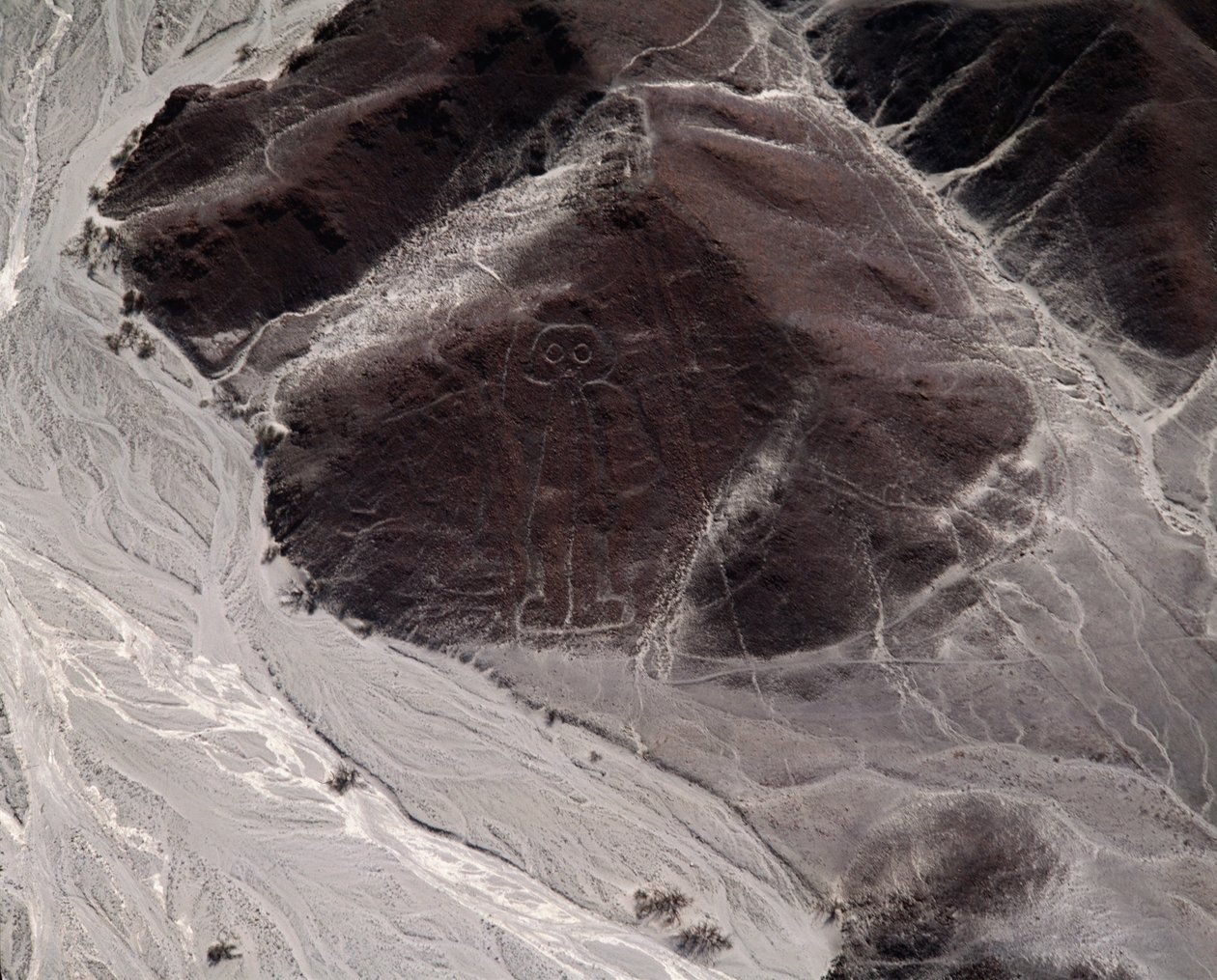 Vista aérea das Linhas de Nazca representando uma figura humana (fotografia de Prehistoric Prehistoric