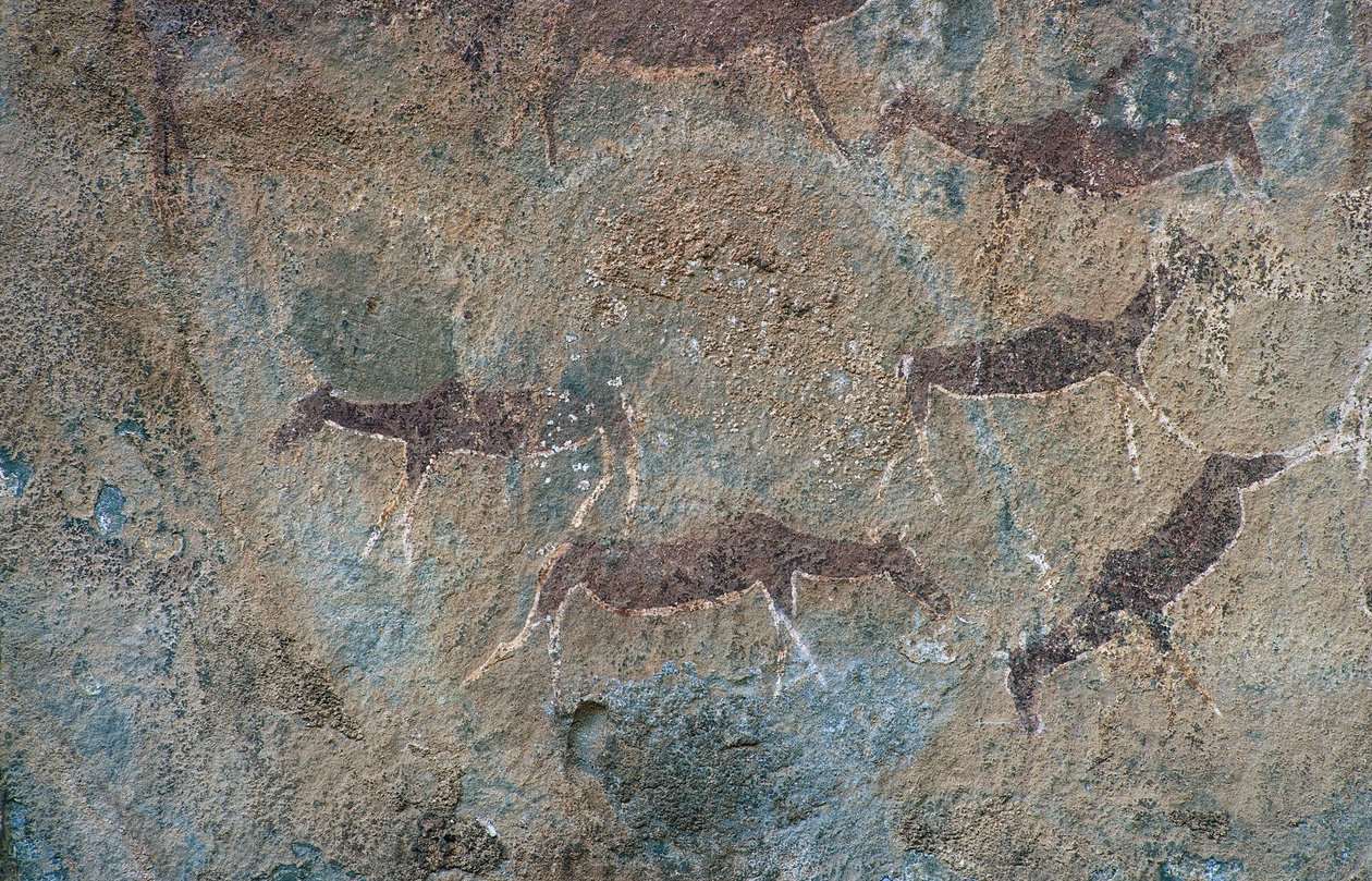 Figuras animais (pintura de cavernas) de Prehistoric Prehistoric