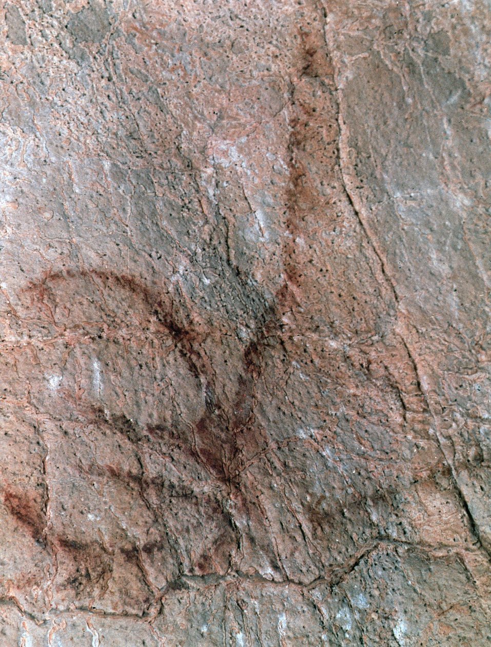  de Prehistoric Prehistoric