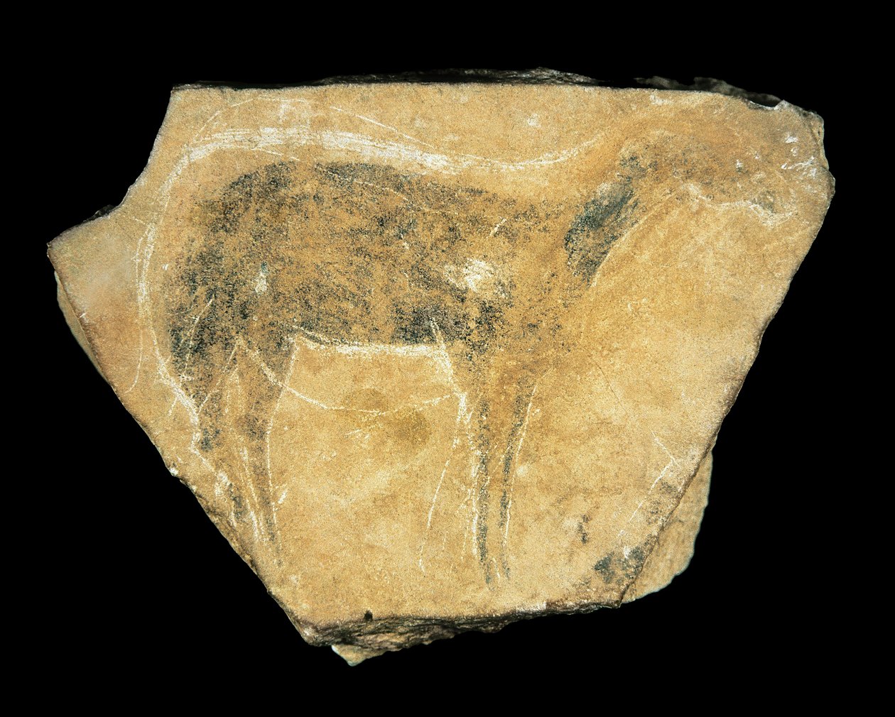 Corça negra, Gruta de Parpallo, Espanha, Paleolítico Superior (pintura) de Prehistoric Prehistoric