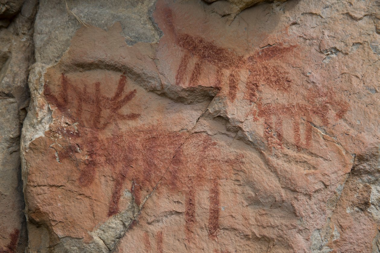 Pintura de caverna, Floresta Nacional de Salmon-Challis (foto) de Prehistoric Prehistoric