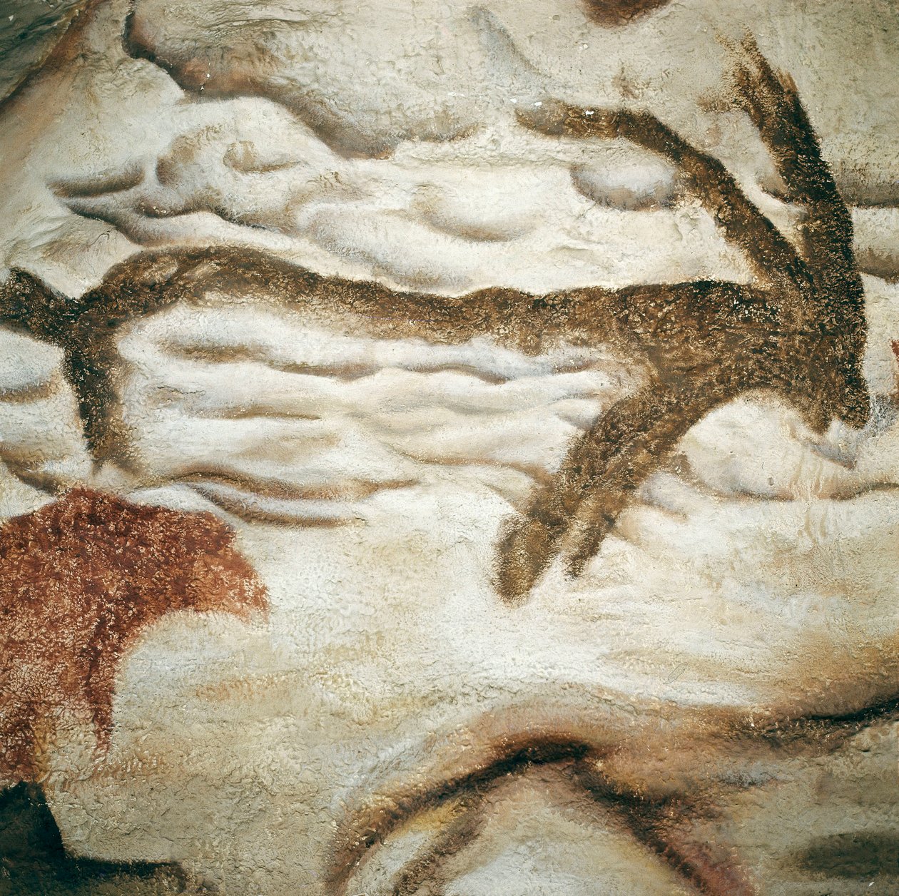 Cervid rock painting, Cave de Lascaux, Dordogne, França, Upper Paleolithic (Magdalenian) c. 13000 anos atrás (pintura) de Prehistoric Prehistoric