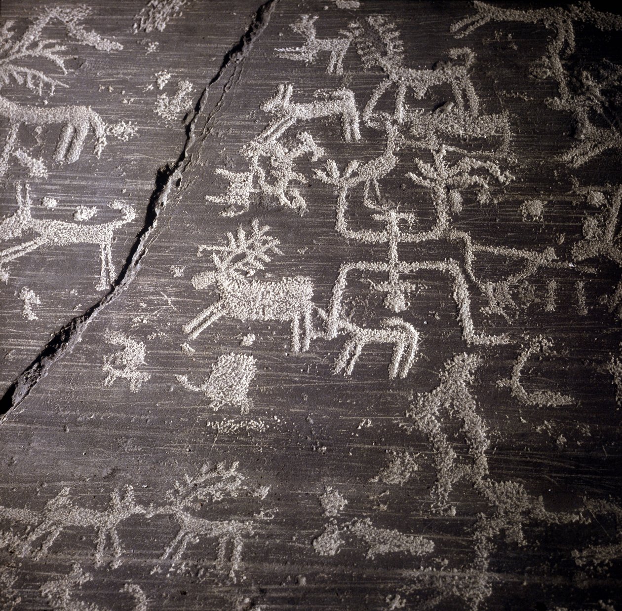 Civilização do Camunni, Pré-história, arte rupestre: pedra tumular, detalhes da grande pedra de Naquane, em Valcamonica (Val camonica).Museo archeologico de Milão de Prehistoric Prehistoric