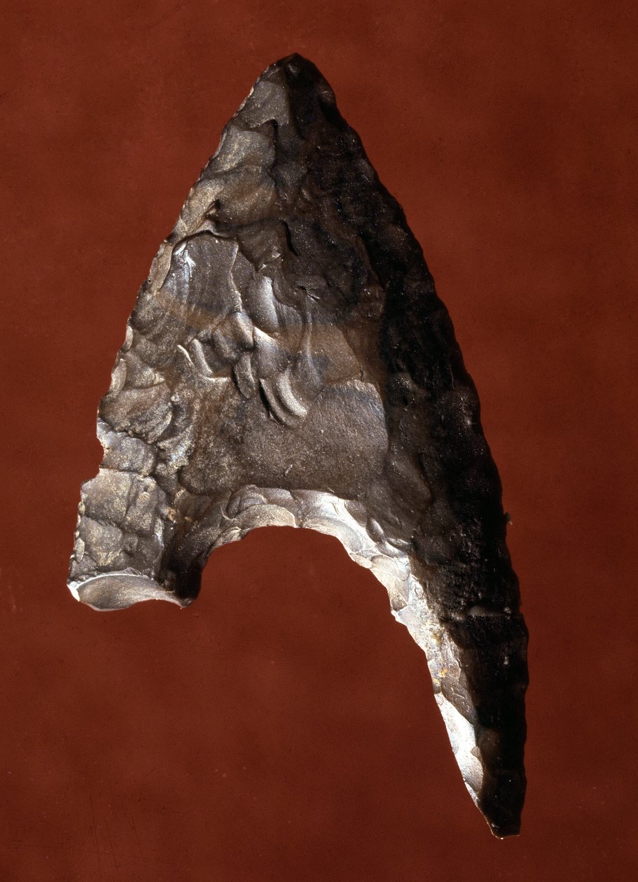 Antiquite egípcia: ponta de seta do local de Fayoum (Fayyum ou Fayum) no Egito. Período pré-dinástico. Verone, Museo Civico di Storia Naturale, Itália de Prehistoric Prehistoric