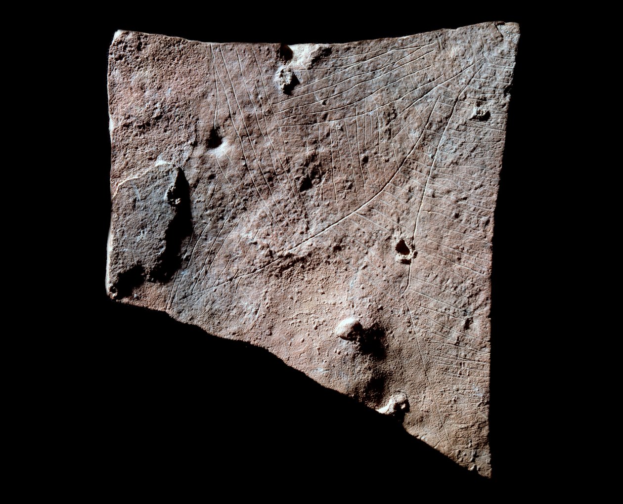 Fragmento de grafite com cabeça de traseiro de Prehistoric Prehistoric