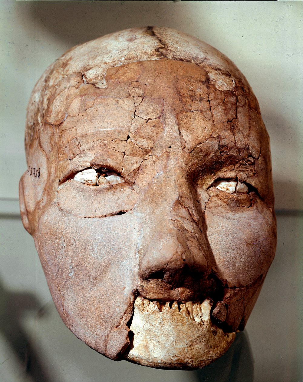 Arte Neolítica: crânio humano datado da Idade da Pedra (6000-4000 a.C.). De Jericó, Museu Arqueológico, Amman, Jordânia de Prehistoric Prehistoric