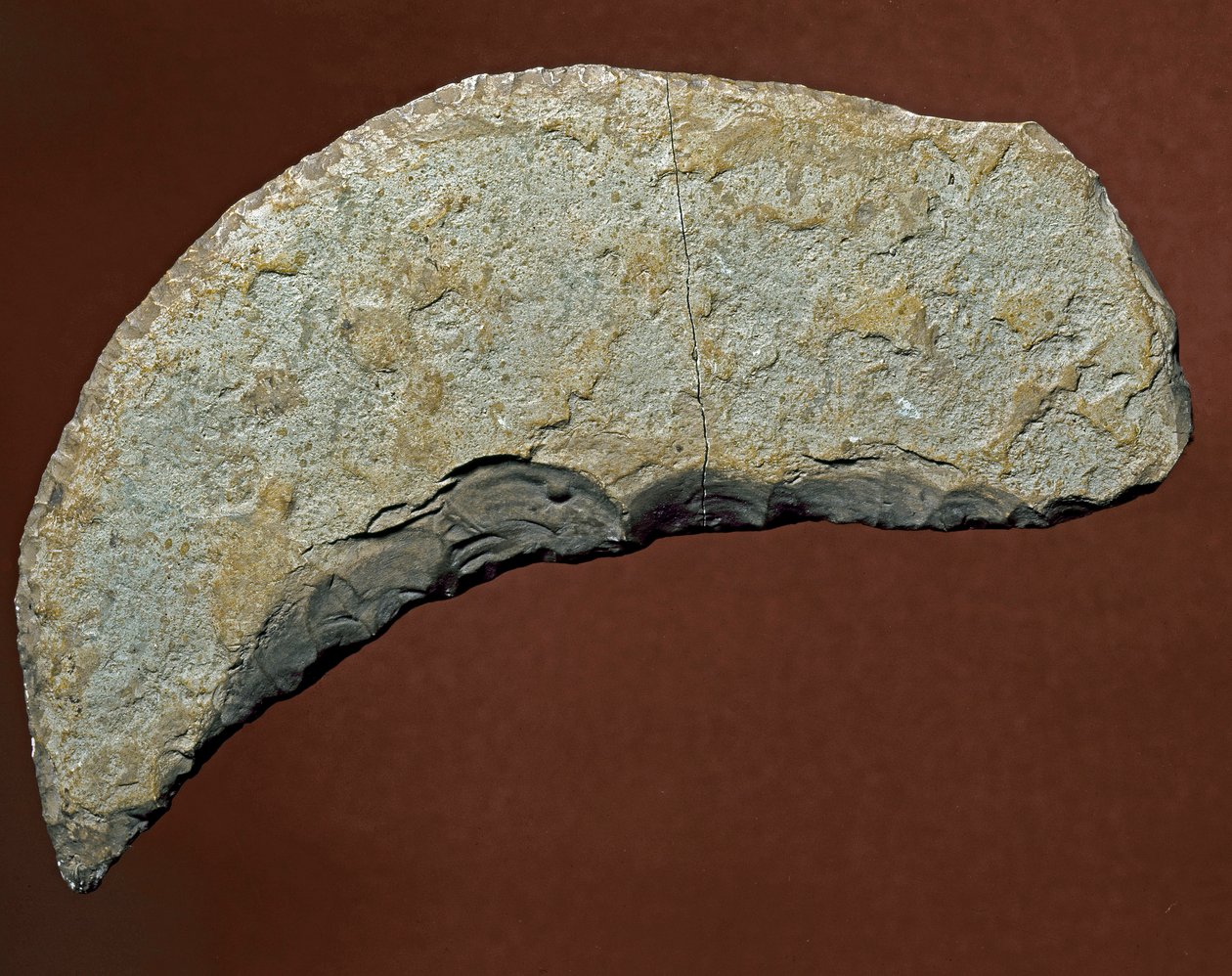 Prehistoire: ferramenta do tipo picador de fabricação lítica de Kjokkenmoddinger, denmark. Paleolítico. Verone, Museo Civico di Storia Naturale, Itália de Prehistoric Prehistoric
