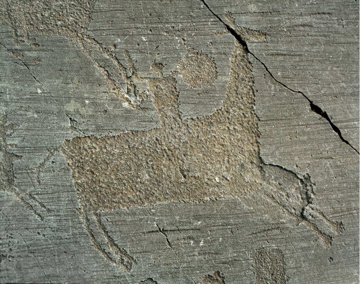 Pré-história, civilização Camunni, arte rupestre: pedra tumular retratando um guerreiro a cavalo com um escudo. Período entre o Neolítico e a Idade do Bronze. Capo di Ponte, Parco nazionale delle incisioni rupestri di Naquane, Valcamonica, Val Camonica, It de Prehistoric Prehistoric