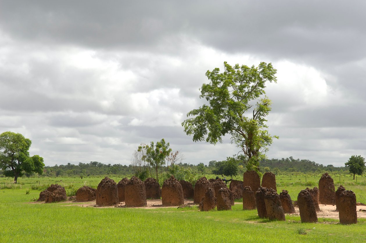 Pré-história: Círculo megalítico de pedras de Wassu, Gâmbia (foto) de Prehistoric Prehistoric