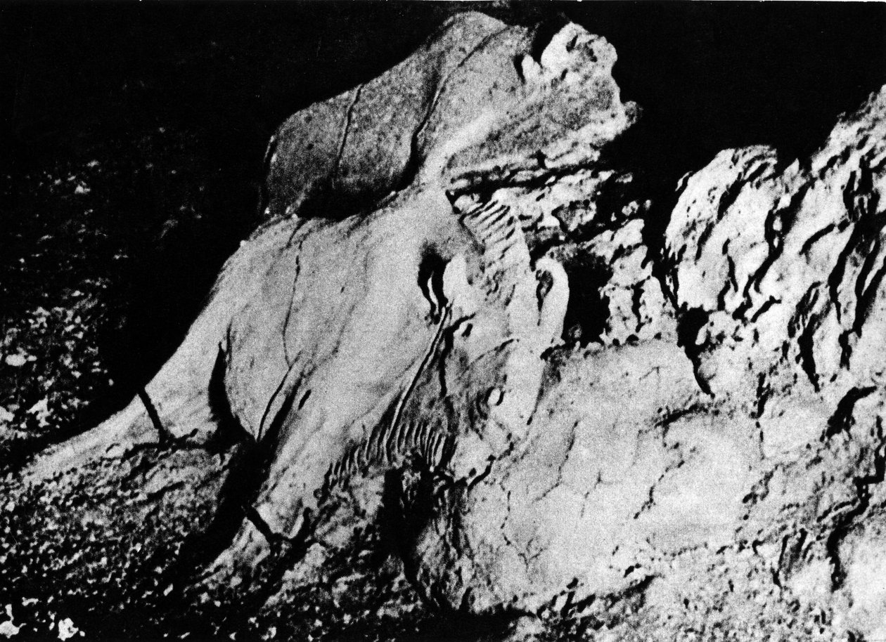 Pré-história: Arte paleolítica, dois bisontes de barro, caverna do Tuc d