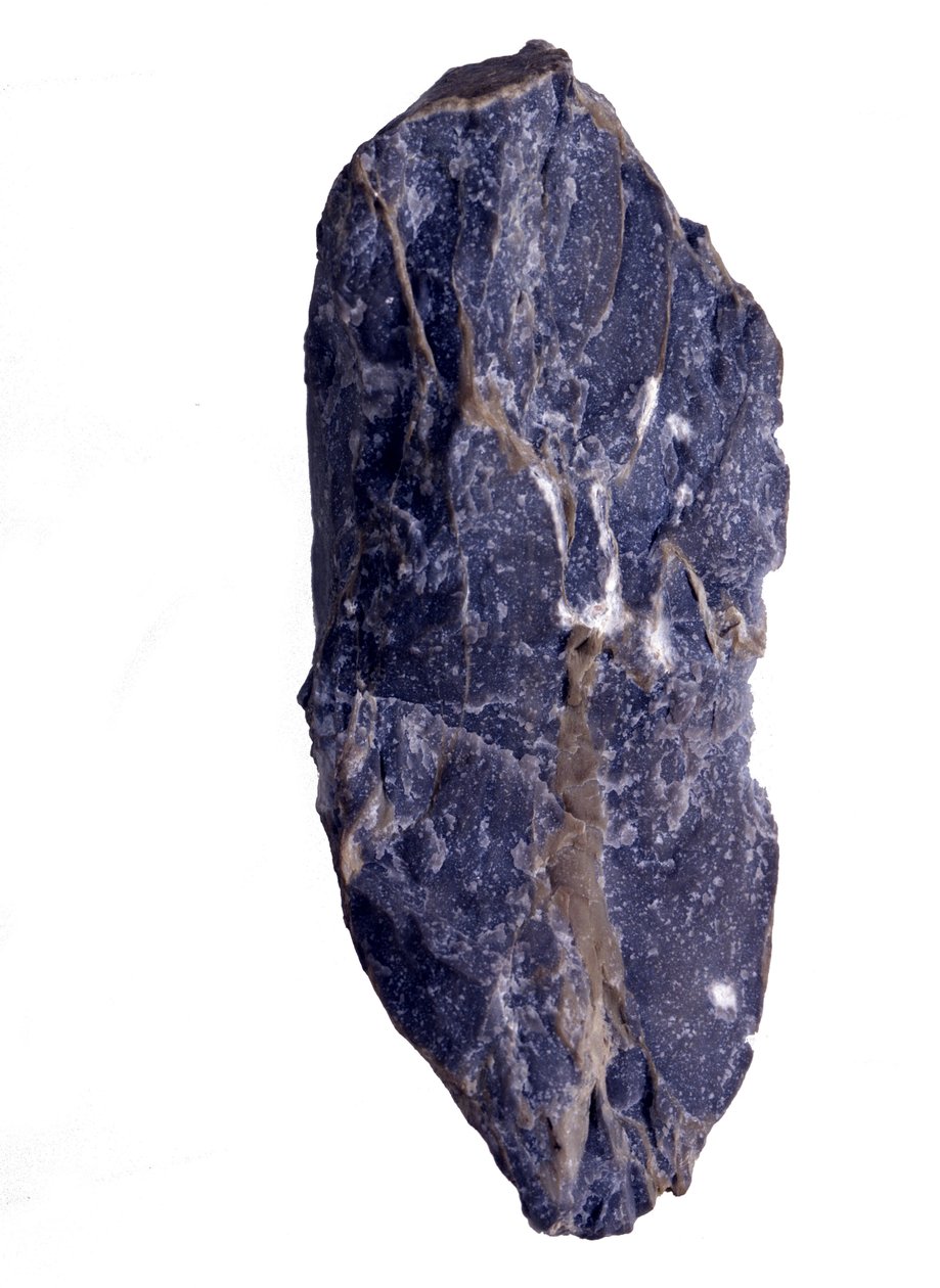 Pré-história: Períodos do fragmento Arqueozóico ou Pré-Cambriano (Arcaico) de rocha colênica do tipo estromatólito ou estromatólito. Dos Estados Unidos da América. de Prehistoric Prehistoric