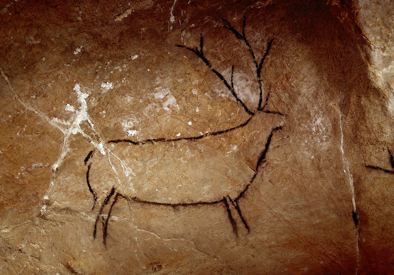 Pré-história : um veado. Pintura de caverna paleolítica superior (Magdaleniana) (16.500 e 14.000 anos atrás). Idade da pedra. Caverna de Las Chimeneas, Monte Castillo, Espanha. de Prehistoric Prehistoric
