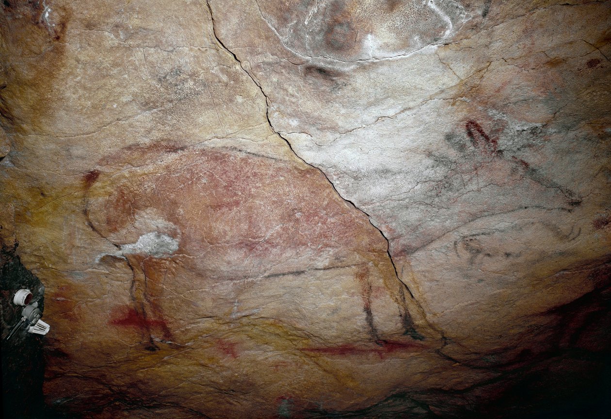 Pré-história: Pintura rupestre "um veado" do Paleolítico Superior (Magdaleniano) (entre 16500 e 14000 anos atrás) Caverna da Idade da Pedra de Altamira, Santander, Espanha de Prehistoric Prehistoric